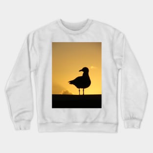 Seagull Crewneck Sweatshirt